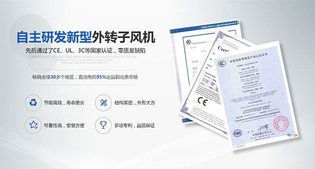 JOJO动漫，黄金血脉中的不屈精神与艺术魅力